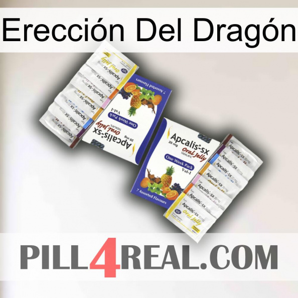 Erección Del Dragón 12.jpg